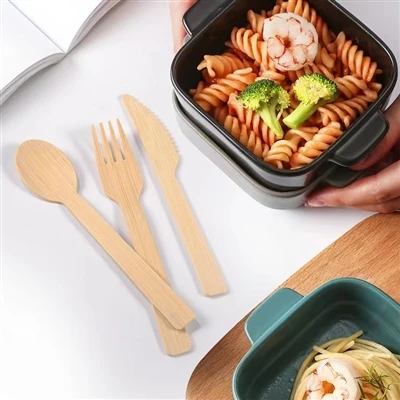 Miksi muoviset ruokailuvälineet ovat haitallisia ympäristölle?